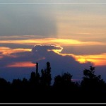 Sun_Dragon